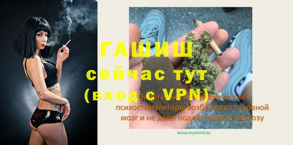 гашик Аркадак
