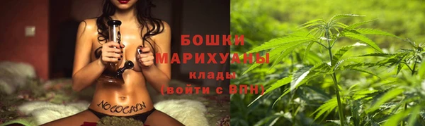 гашик Аркадак