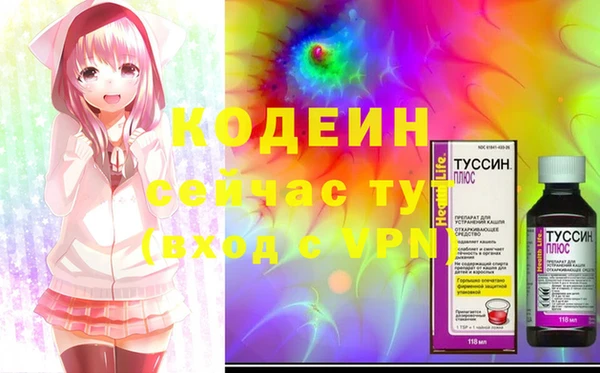 гашик Аркадак
