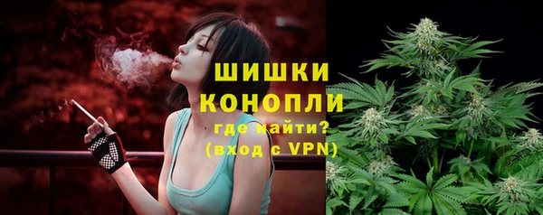 гашик Аркадак