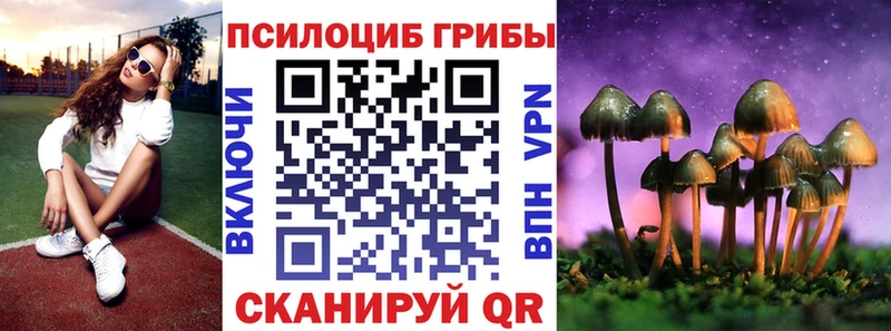 Псилоцибиновые грибы мухоморы  цены наркотик  Плавск 